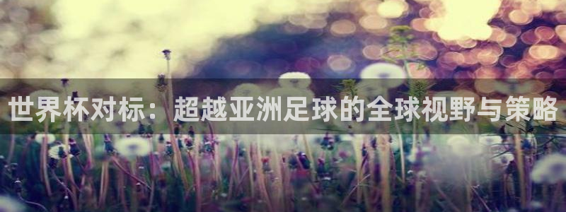 世界杯球队:世界杯对标:超越亚洲足球的全球视野与策略