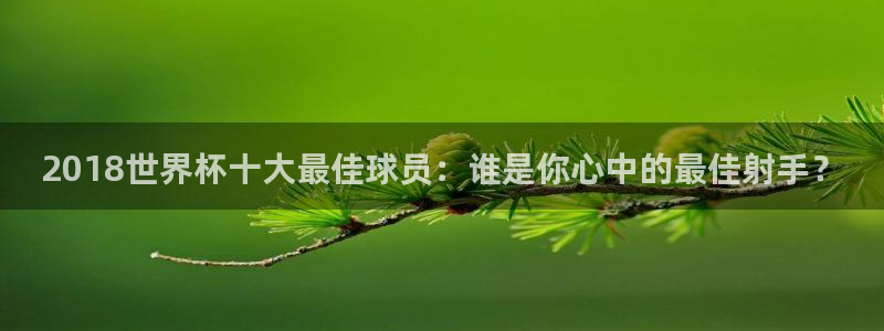 世界杯预选赛欧洲赛区赛程:2018世界杯十大最佳球员:谁是你心中的最佳射手?