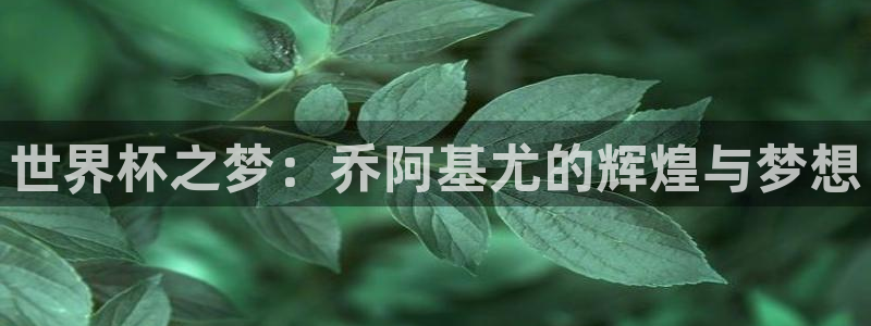 世界杯决赛预测:世界杯之梦:乔阿基尤的辉煌与梦想