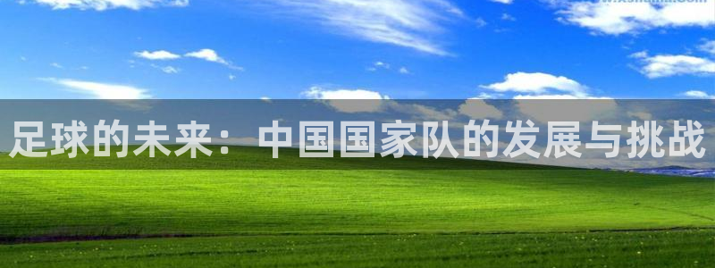 2026年世界杯:足球的未来:中国国家队的发展与挑战