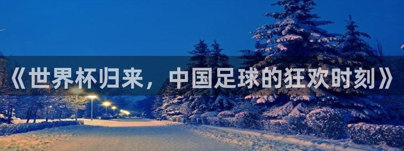 世界杯欧洲区预选赛赛程:《世界杯归来,中国足球的狂欢时刻》