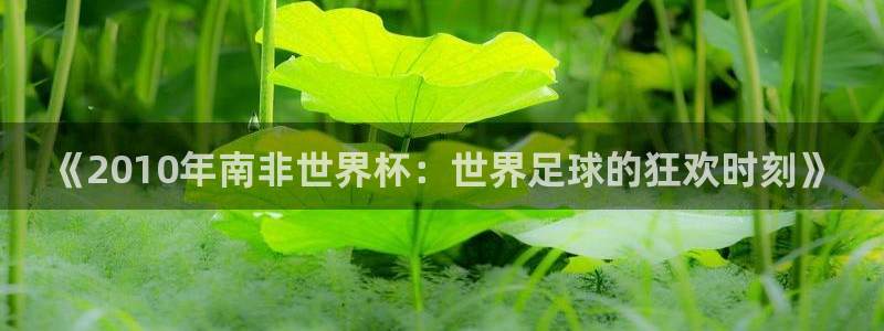 2026世界杯对阵图:《2010年南非世界杯:世界足球的狂欢时刻》