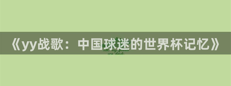 世界杯预选赛规则:《yy战歌:中国球迷的世界杯记忆》